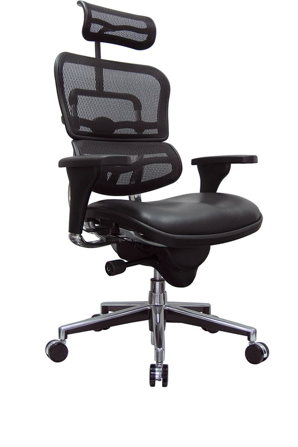 Comfort Ergohuman Plus Luxury Chair – con ghế công thái học đầu tiên