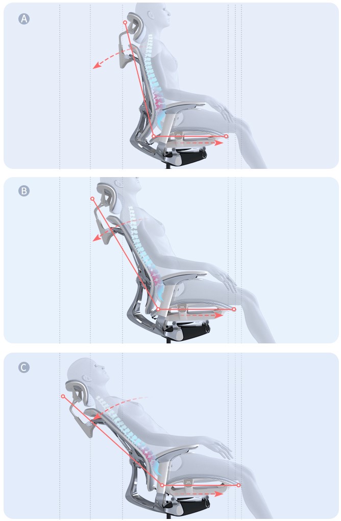 Comfort Ergohuman Plus Luxury Chair – con ghế công thái học đầu tiên