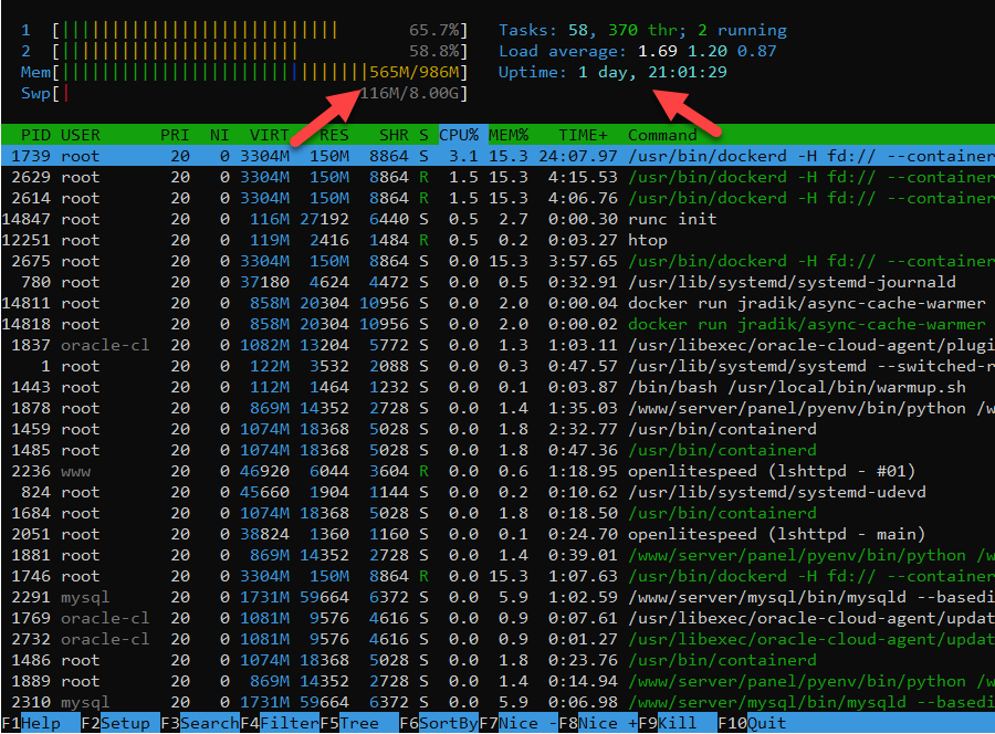 Sitemap Cache Warmer – Preload qua sitemap.xml