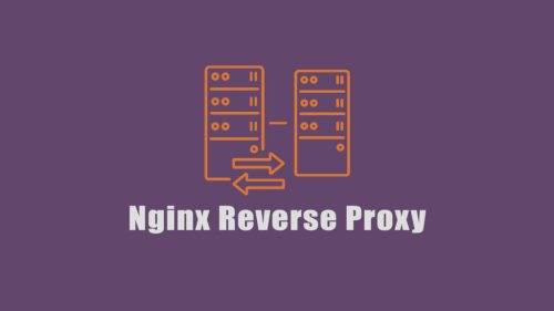 Webinoly Reverse Proxy Fastcgi Cache