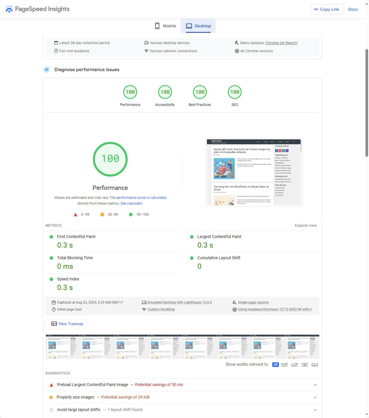 PageSpeed Insights Desktop